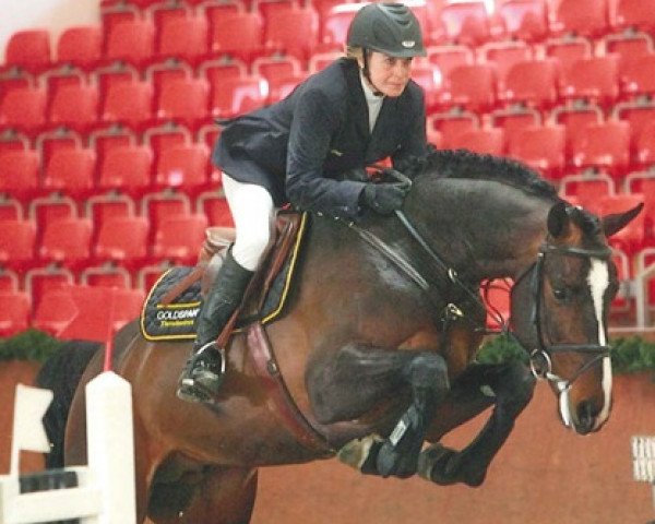 stallion Consotho (German Sport Horse, 2006, from Con Sherry)