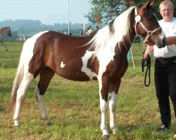 broodmare Puzzle (Lewitzer, 2001, from Greenhorn)