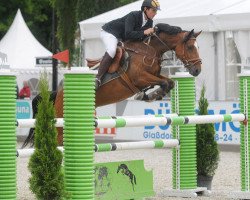 Springpferd Cecil 11 (Deutsches Reitpony, 2005, von Hennes Lux Dressage)