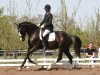 dressage horse Piks Liberty (Westphalian, 2008, from Pik Labionics)