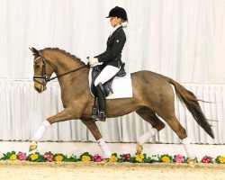 dressage horse Hilkens Scarlet Delight (German Riding Pony, 2009, from FS Champion de Luxe)