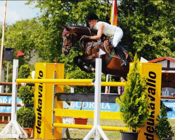 broodmare Tolinda (KWPN (Royal Dutch Sporthorse), 2000, from Indoctro)