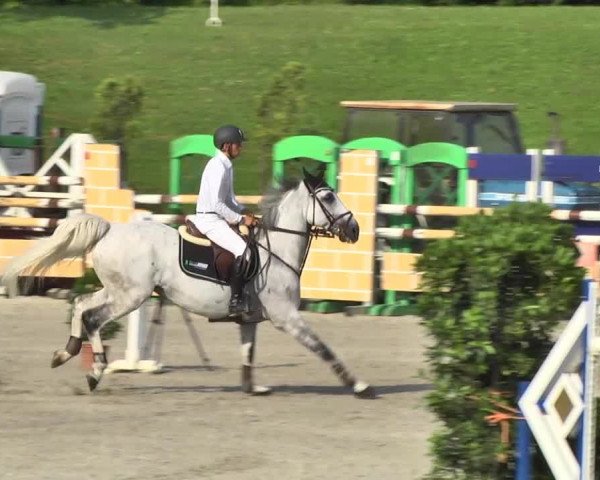 Landeschampionat Baden-Württemberg 05.07.2013
03 Springprüfung Kl. S*