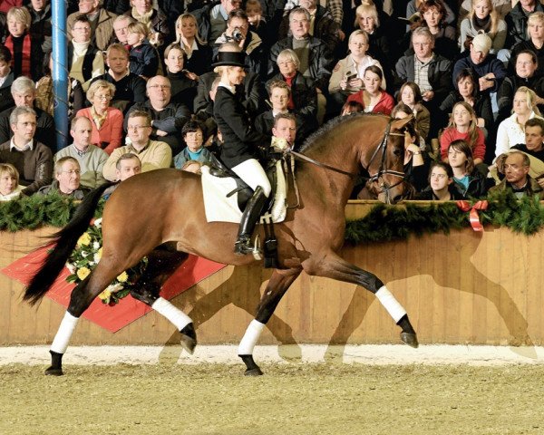 dressage horse L'espoir (Rhinelander, 2006, from Lord Loxley I)