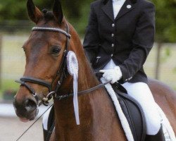 Dressurpferd Cocky Rookie (Deutsches Reitpony, 2002, von FS Cocky Dundee)