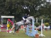 jumper Zauberwald (German Riding Pony, 2002, from Mentos)