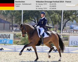 dressage horse Danönchen OLD (Oldenburg, 2007, from Danone 4)