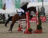 jumper Larentino 2 (Hanoverian, 2002, from Lancier)