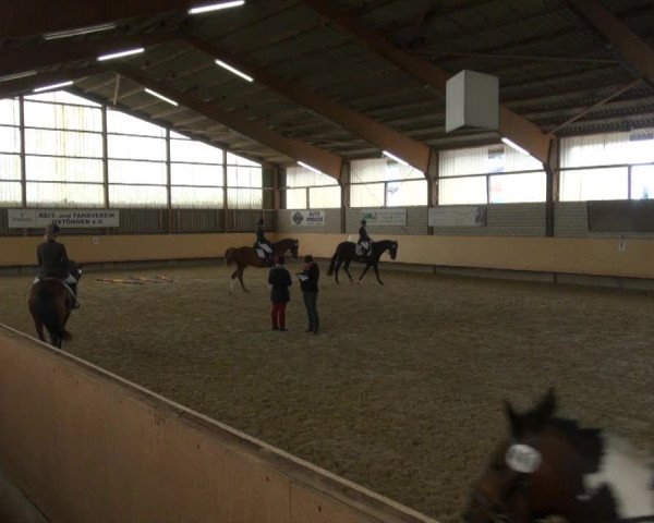 Video of Fürstengold 7, Hans-Thorben, Little Lana