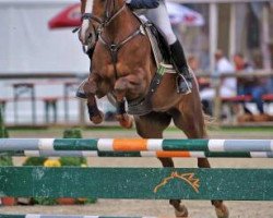 dressage horse Miss Sixty 4 (German Riding Pony, 1999, from Mentos)