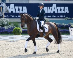 dressage horse Selecao 3 (Rhinelander, 2014, from Stanford 9)