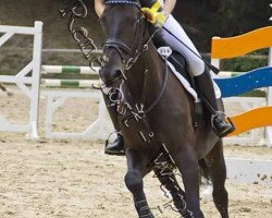 dressage horse Little Julie (Westphalian, 2001, from Levados)