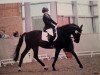 jumper Osepmoh (Russian Trakehner, 2002, from Bug 9)