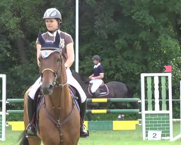 PLS Weinsberg 2013, Freitag 14.06.2013, 14  Springprüfung Kl. M*