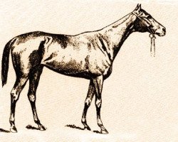 broodmare Amalie von Edelreich xx (Thoroughbred, 1870, from Buccaneer xx)