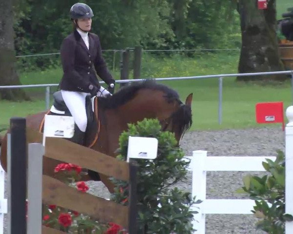 Isny-Rohrdorf 2013