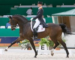 dressage horse Sunrise (Hanoverian, 1994, from Singular Joter)