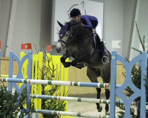 jumper Enno 52 (KWPN (Royal Dutch Sporthorse), 2008, from VDL Wittinger)