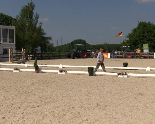 Stutenschau Kirchhellen – Feldhausen 2013
Dienstag, den 28.05.2013
Warmblutfohlen
