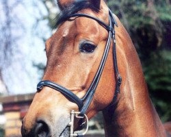 broodmare Finett (Rhinelander, 1982, from Frühlingsball)