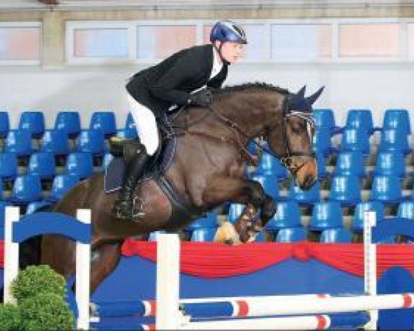 jumper Diacon (Oldenburg show jumper, 2010, from Diarado)