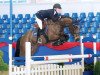 jumper Silvertops Ailton (Oldenburg show jumper, 2009, from Demet - Apokalipsis)