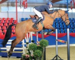 jumper Lex Lotta (Oldenburg show jumper, 2008, from Lex Lugar)