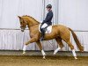 dressage horse Don Miguel (Westphalian, 2010, from De Niro)