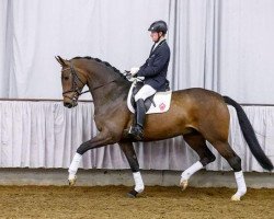 dressage horse Fabrina 40 (Rhinelander, 2009, from Fidertanz)