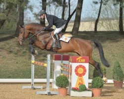 jumper Calcit (German Sport Horse, 2010, from Casdorff)