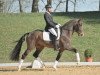 dressage horse Bergkristall (Bavarian, 2010, from Boston)