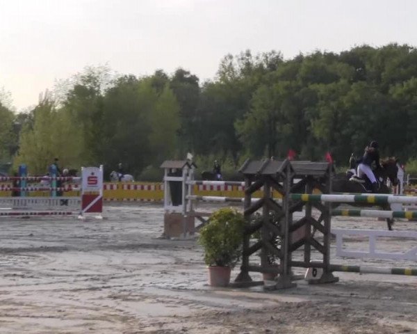 Reit- und Springturnier des ZRuF Kamen 2013,
Samstag 04.05.2013, 32 JUN-JR-Spring-LP Kl.S*/glz.Sichtung WM+DM
