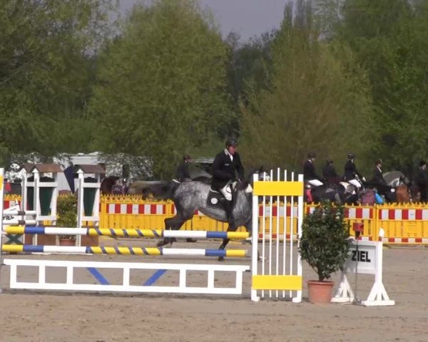 Reit- und Springturnier des ZRuF Kamen 2013, Freitag 03.05.2013, 35/2 Springpferde-LP Kl. A** - 5-6 Jährige, LK 3-6