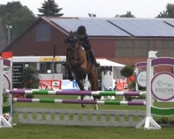 jumper Michel 233 (Hanoverian, 2010, from Mighty Magic)