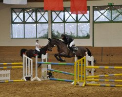 jumper For Joy 32 (Oldenburg show jumper, 2002, from Flemmingh)