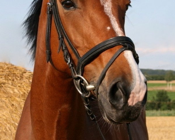 broodmare Alanka (Rhinelander, 1999, from Alasko)