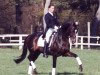 stallion Plaisir d'Amour (Oldenburg, 1988, from Pik Bube I)