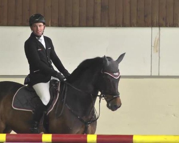 Ernst und Maria Wirth Gedächtnisturnier Zoltingen 2013, 07.04.2013, 12 Springprüfung Kl. M