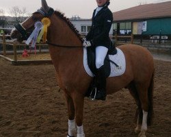 dressage horse FS Dorinkort (German Riding Pony, 2007, from FS Don't Worry)