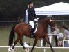 jumper King Elvis 2 (German Riding Pony, 2002, from King Bjuti)