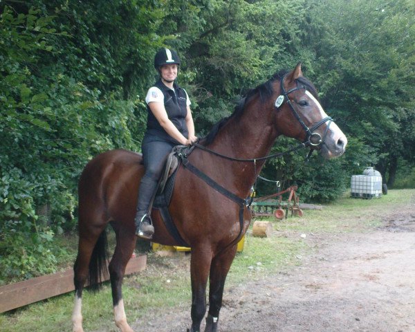 Pferd Lordano de Saar (Zweibrücker, 2001, von Lordano)