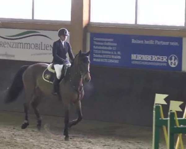 Late Entry Sauldorf-Boll 02.03.2013 
Springpferdeprüfung L
