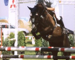 broodmare Little Kiss (Saxony-Anhaltiner, 2000, from Lohberg)