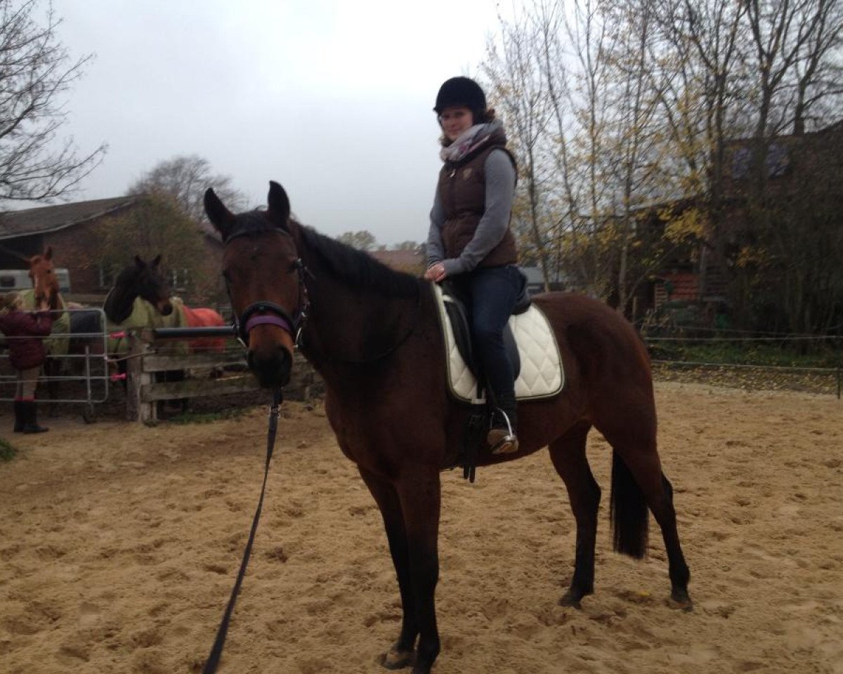 broodmare Ebony (Hanoverian, 2006, from Embassy I)