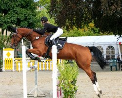 jumper Zolibria Weering (KWPN (Royal Dutch Sporthorse), 2004, from Garanco)