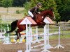 broodmare Lintonia (Oldenburg show jumper, 2008, from Hh Linton)