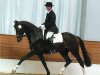 dressage horse Prinz Primero M (Hanoverian, 2001, from Prince Thatch xx)