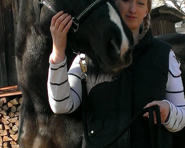 horse Luana Peak (Bavarian, 1992, from Rehberg)