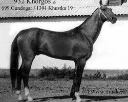 stallion Khorgos 2 (Akhal-Teke,  , from Gundogar)