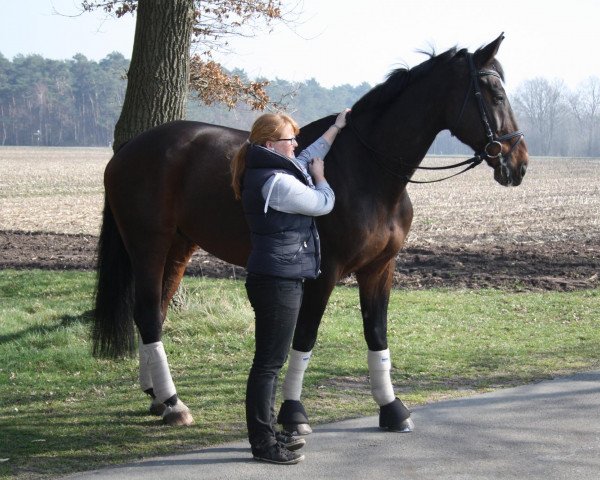 horse Gatorate-Lemon (Hanoverian, 1993, from Grundsee)